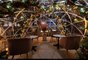 nyc-luxury-igloo-interior